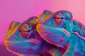 Sony WH-1000XM4 Wireless Headphones